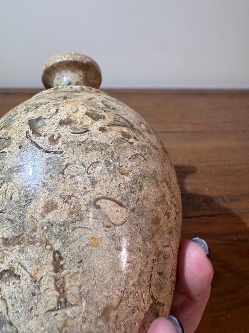 K&ouml;nnte beinhalten: Eine beige Steinflasche mit rundem K&ouml;rper und kleinem, rundem Verschluss. Die Oberfl&auml;che der Flasche weist ein gesprenkeltes Muster aus Beige, Braun und Grau mit sichtbaren, fossilartigen Einschl&uuml;ssen auf. Die Flasche ist wahrscheinlich ein Dekorationsartikel.