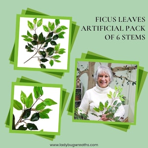 May include: A pack of six artificial ficus leaf stems. The stems are green and have a realistic look. The image shows a woman holding one of the stems. The text on the image reads "Ficus Leaves Artificial Pack of 6 Stems".