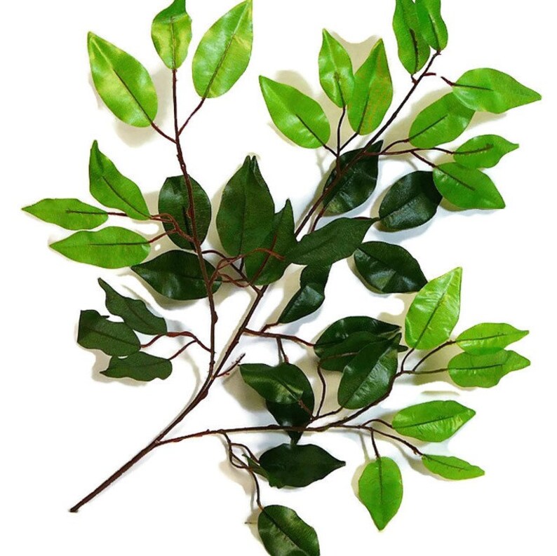 May include: A branch of artificial green leaves with a brown stem. The leaves are arranged in a cluster and have a realistic appearance.