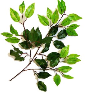 May include: A branch of artificial green leaves with a brown stem. The leaves are various shades of green and have a realistic texture.