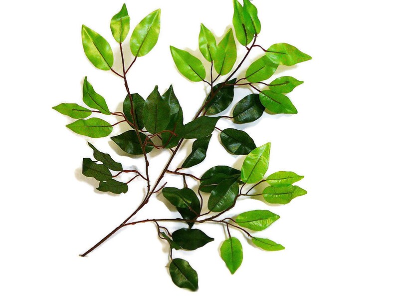 May include: A branch of artificial green leaves with a brown stem. The leaves are various shades of green and have a realistic texture.