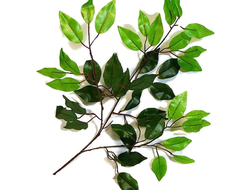 May include: A branch of artificial green leaves with a brown stem. The leaves are various shades of green and have a realistic texture.