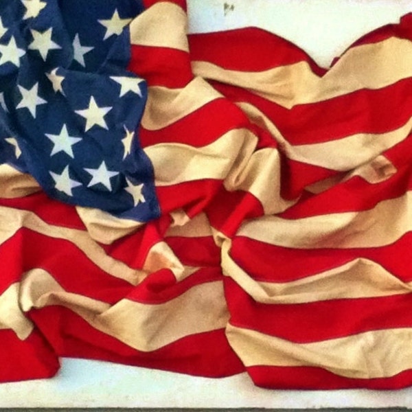 USA Flag Americana Patriotic Independence Day 4th of July Red White and Blue