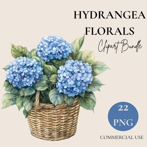 Puede incluir: Ilustración en acuarela de flores de hortensia azules en una cesta de mimbre. La imagen incluye el texto "HYDRANGEA FLORALS Clipart Bundle" y un círculo azul con "22 PNG" y "COMMERCIAL USE".