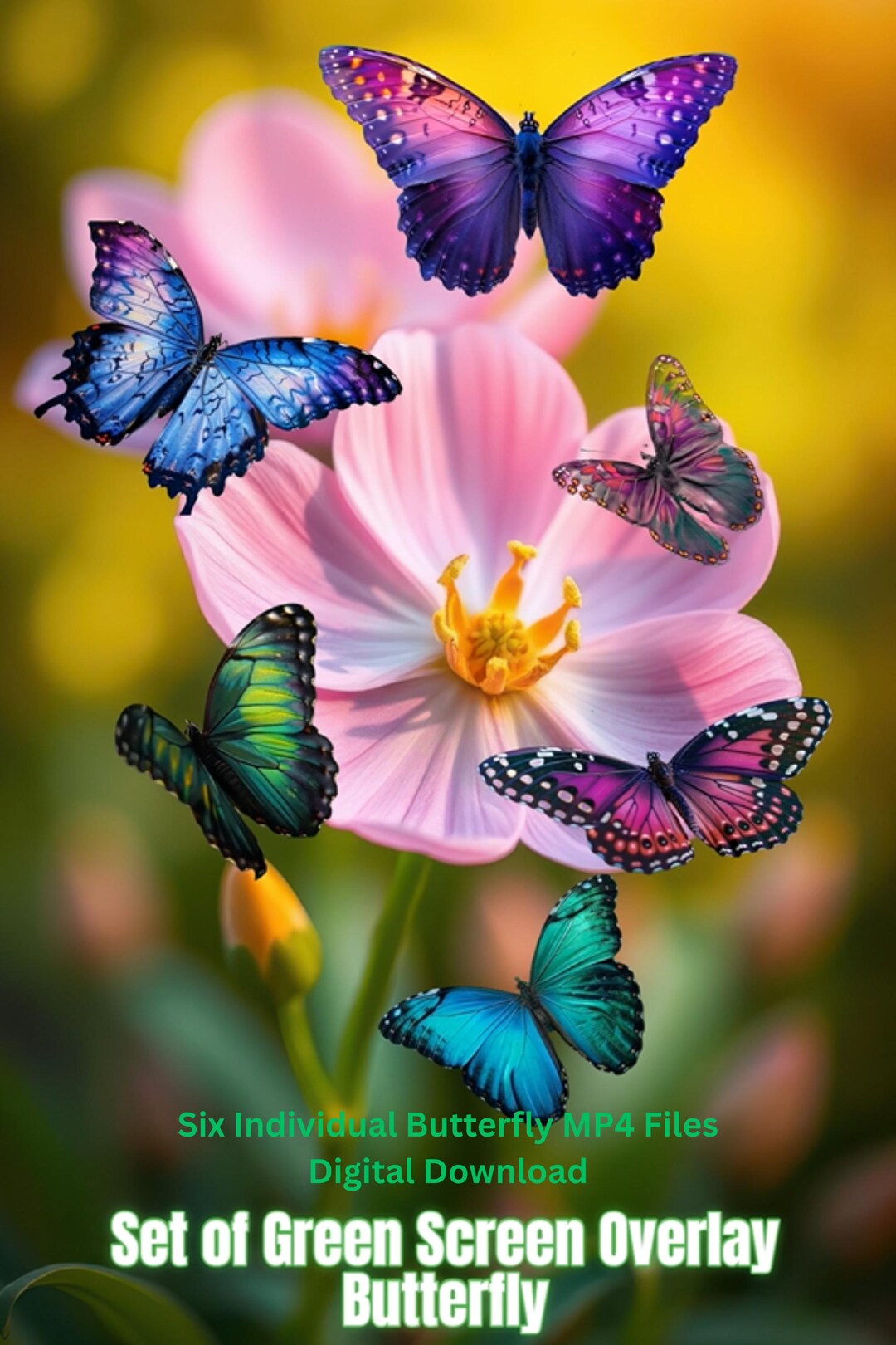 Set of 6 Butterfly Animation Video Overlay | Green Screen Effects ...