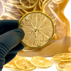 May include: Close-up of a dried lemon slice held by a gloved hand, with a bag of similar slices in the background. The lemon slices are yellow with a translucent appearance, showcasing the fruit's natural texture and shape. Several slices are scattered on a white surface.