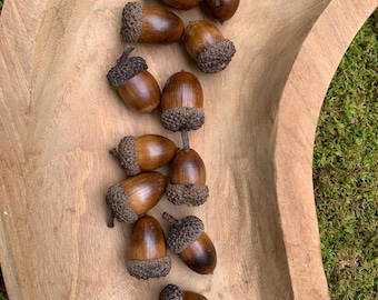White Oak Acorns with Glued Caps: Rustic Fall Decor, DIY Crafts - 24/36