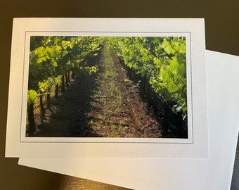 Summer Vineyard, Wine Grapes,  Landscape Photography,  Mat Card