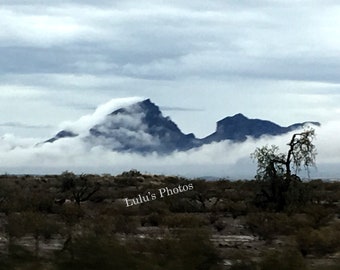 Fog in the Desert, Landscape Photography, Prints and Personalized Cards