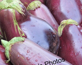 Farmer's Market, Eggplant Photo, Kitchen Decor, Prints and Personalized Cards