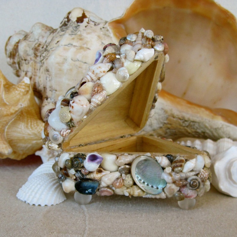 Seashell Box Shell Keepsake Trinket Jewelry Box Etsy