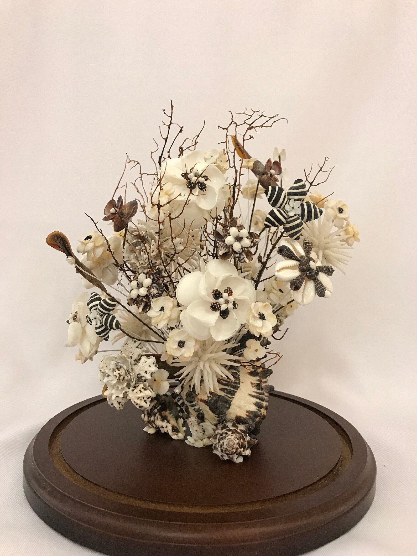 Victorian Seashell Flower Arrangement Cloche Black Murex Etsy