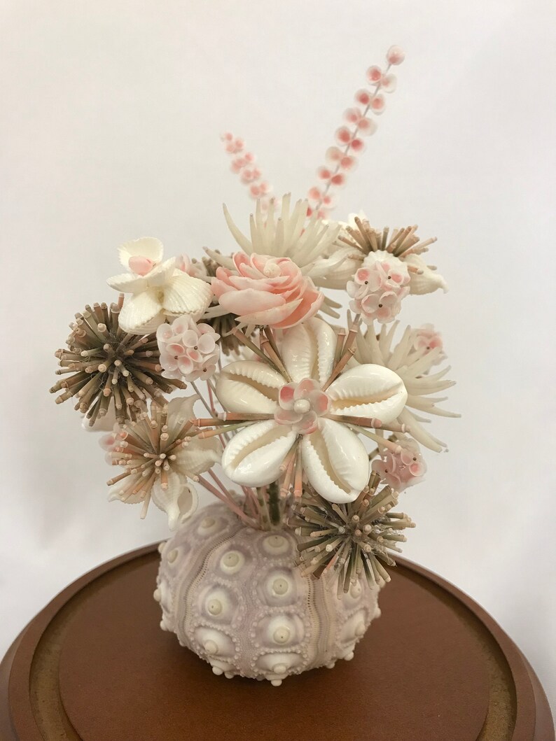 Victorian Seashell Flower Arrangement Cloche Pink Urchin Posie Etsy