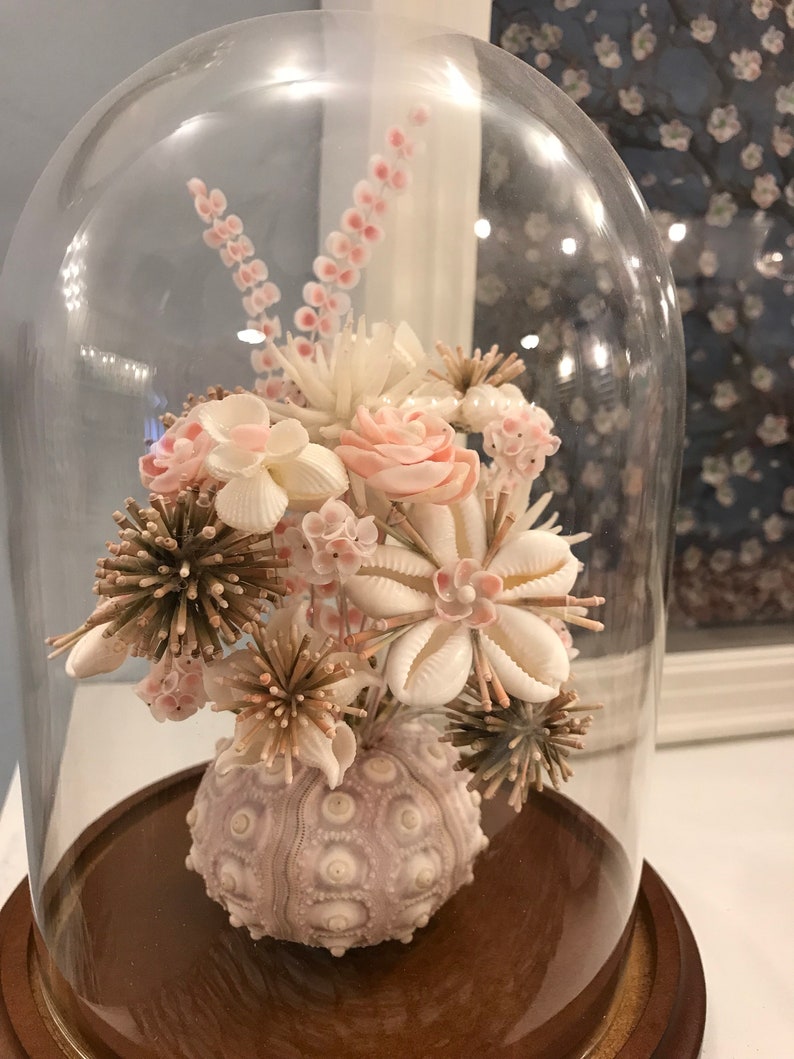 Victorian Seashell Flower Arrangement Cloche Pink Urchin Posie Etsy
