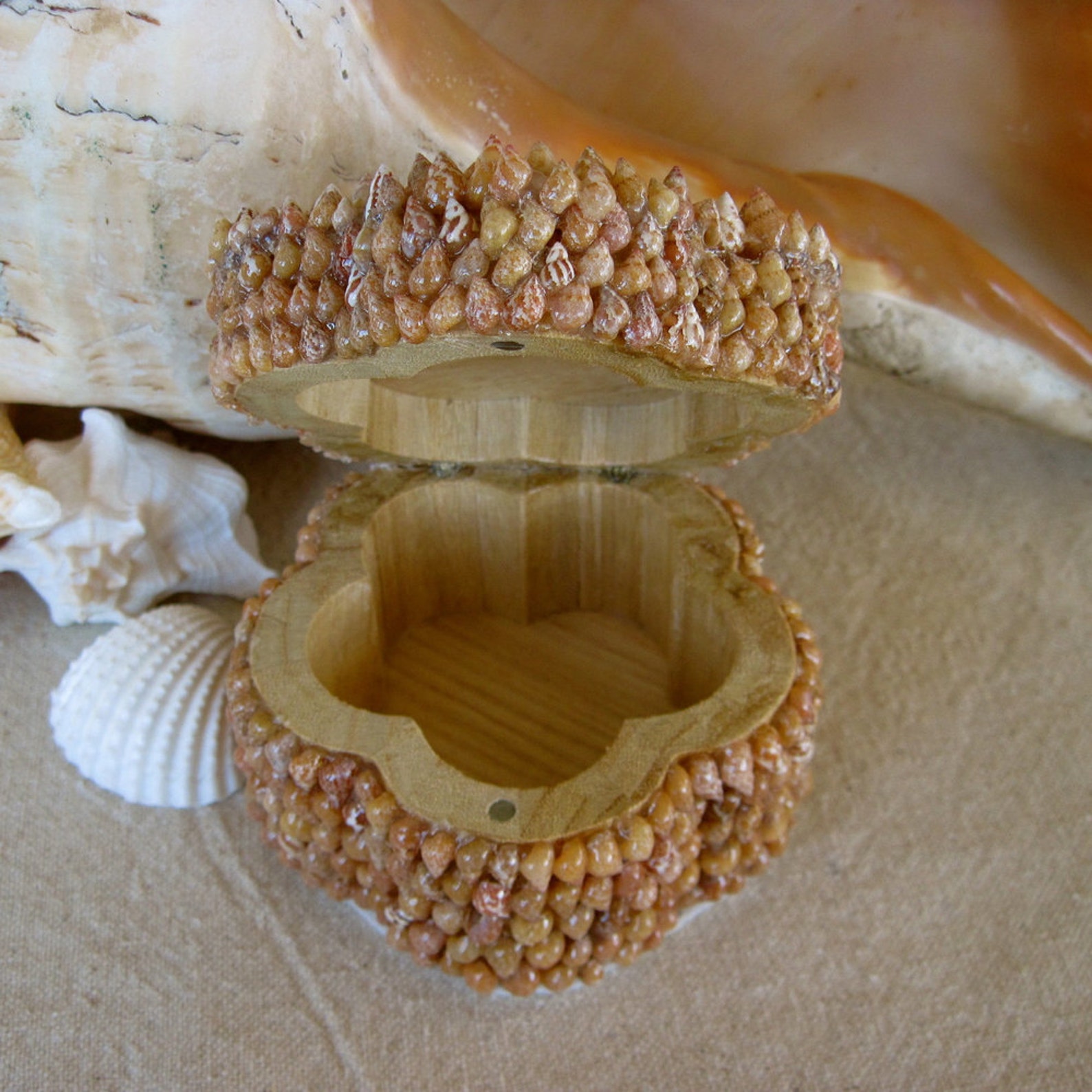 Seashell Box Trinket Jewelry Keepsake Box Etsy