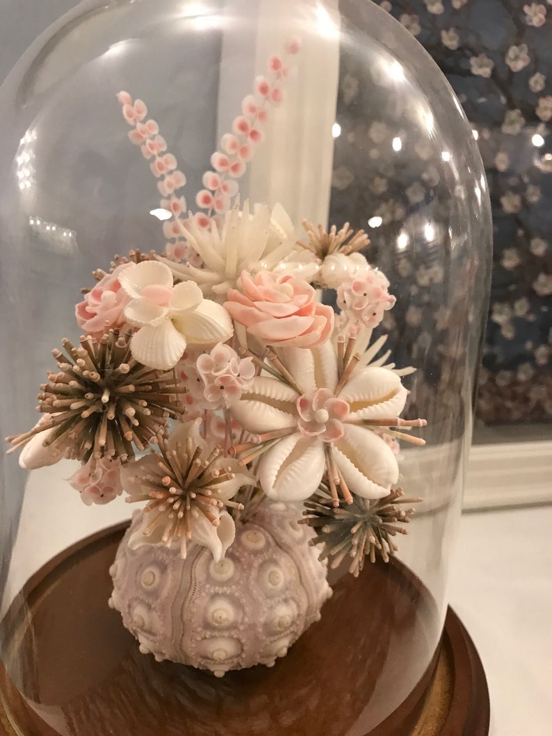 Victorian Seashell Flower Arrangement Cloche Pink Urchin Posie Etsy