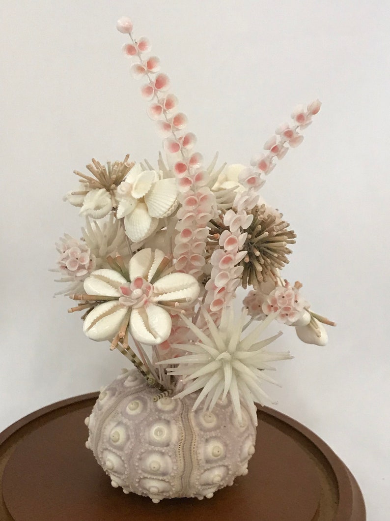 Victorian Seashell Flower Arrangement Cloche Pink Urchin Posie Etsy