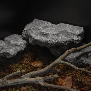 May include: A set of three grey, textured rock-like platforms arranged in a tiered formation, positioned over a base of brown moss and scattered dried leaves, with a thin, light brown wooden branch resting across the foreground area.