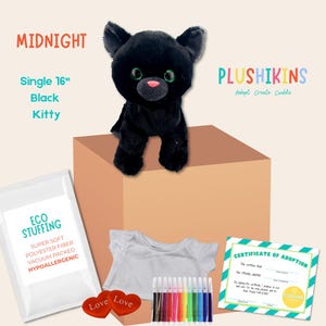 DIY Stuffed Black Cat Kit – 16” Plush Kitty Kids Craft