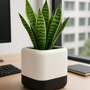 May include: A snake plant in a modern, two-tone planter. The planter is square, with a white, vertically ribbed upper section and a solid black base. The plant has long, upright green leaves with yellow-green stripes. The scene is set on a wooden desk.