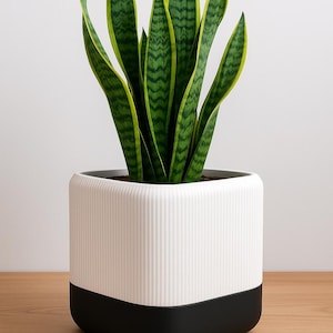 LazyLeaf™ Självbevattnande Kruka Mellanstor