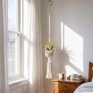 May include: A cream-colored macrame plant hanger featuring a knotted basket design, a wooden ring at the top for suspension, and a long fringe tassel at the bottom. The hanger holds a green air plant with thin, pointed leaves and is suspended.