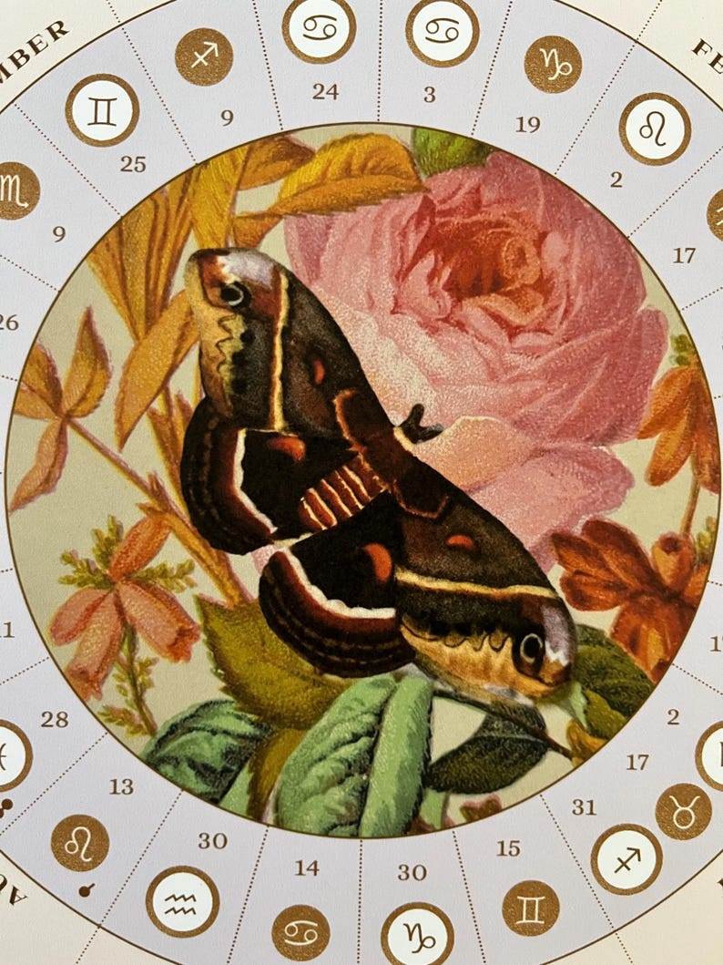Moon Calendar 2026 Digital Download - Etsy UK