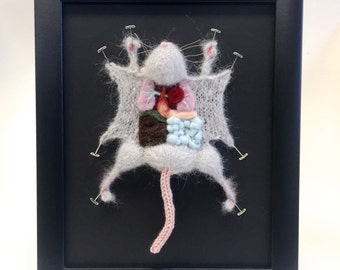 Grey Knitted Lab Rat: Framed with Black Background