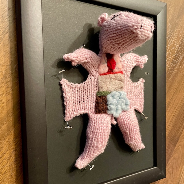 Knitted Fetal Pig: Framed with Black Background