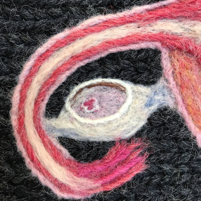 Human Female Reproductive System: A Study in Wool image 3