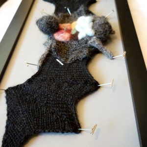 Knitted Dissected Bat Specimen image 4