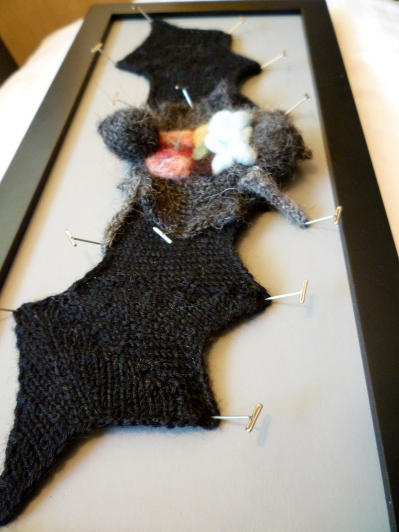 Knitted Dissected Bat Specimen image 4