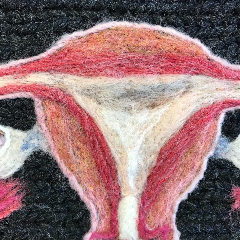 Human Female Reproductive System: A Study in Wool image 2