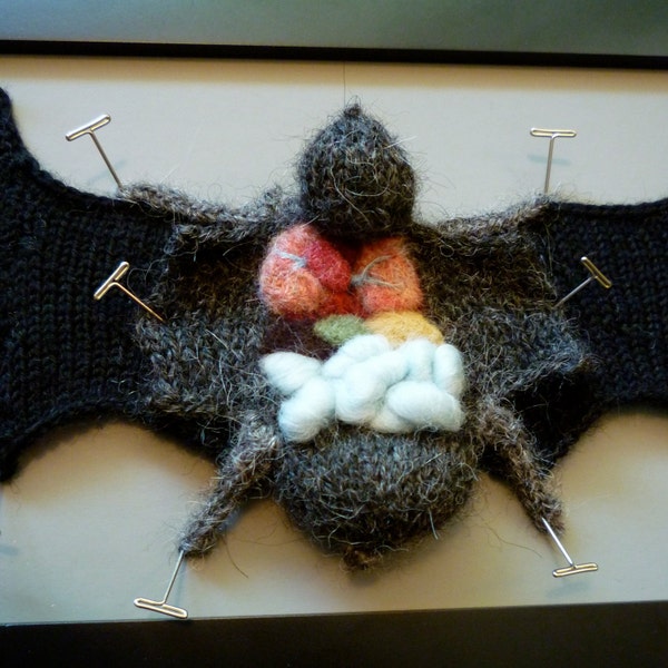 Knitted Dissected Bat Specimen