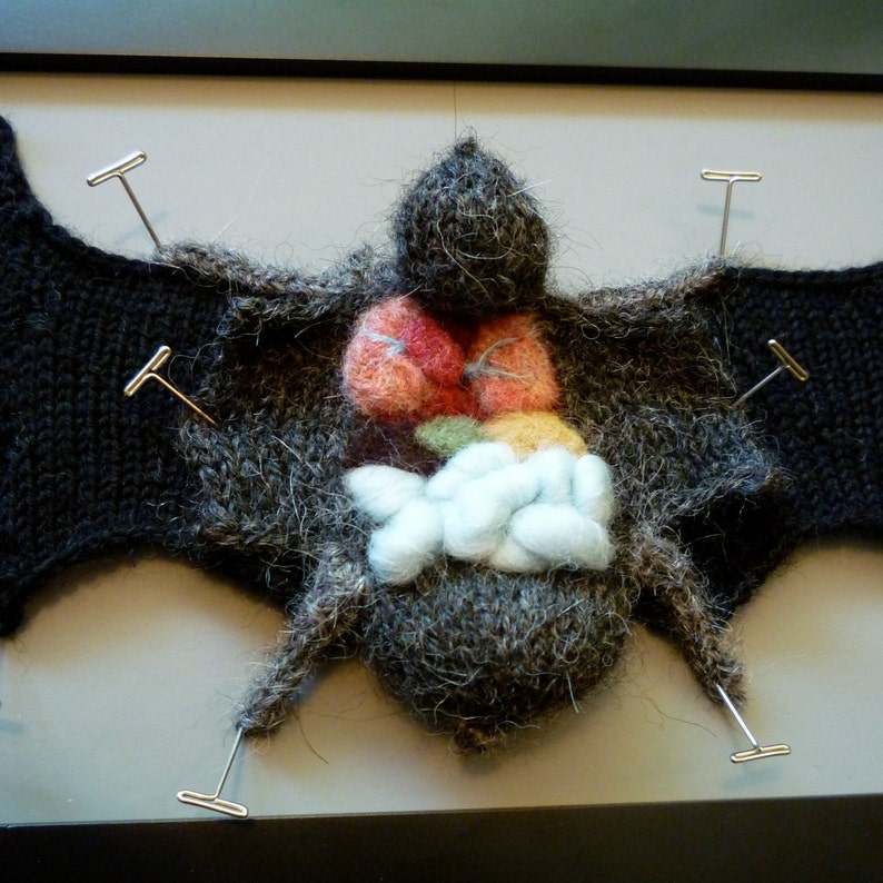 Knitted Dissected Bat Specimen image 1