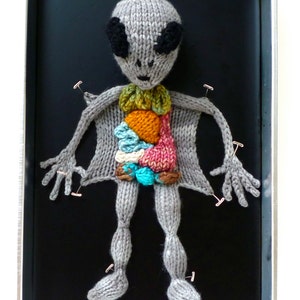 Knitted Alien Autopsy PDF Pattern