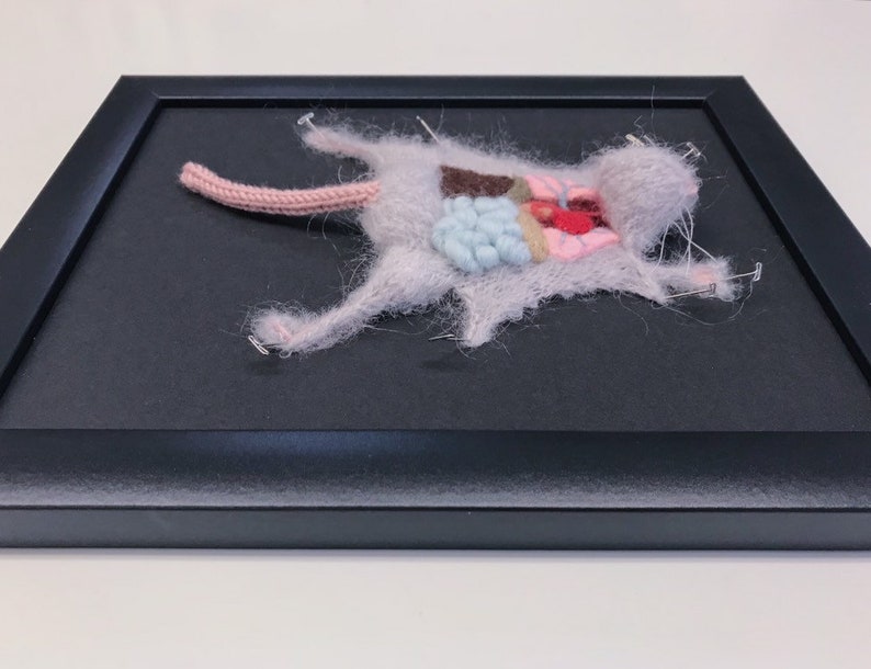 Grey Knitted Lab Rat: Framed with Black Background image 4