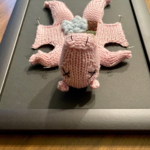 Knitted Fetal Pig: Framed with Black Background image 5