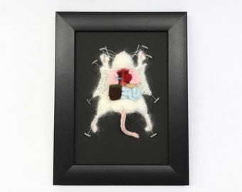 Miniature Knitted Lab Rat Dissection