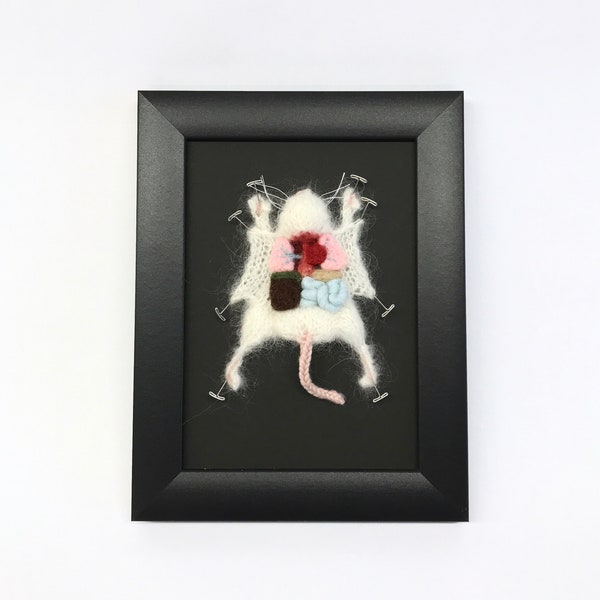 Miniature Knitted Lab Rat Dissection