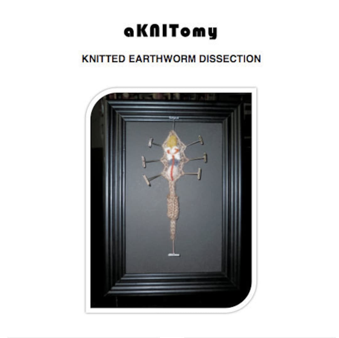 Knitted Earthworm Dissection Pattern 