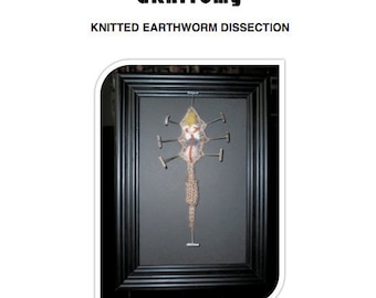 Knitted Earthworm Dissection pattern