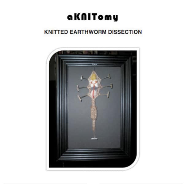 Knitted Earthworm Dissection pattern