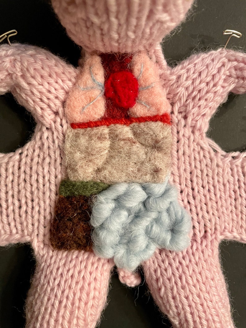 Knitted Fetal Pig: Framed with Black Background image 4