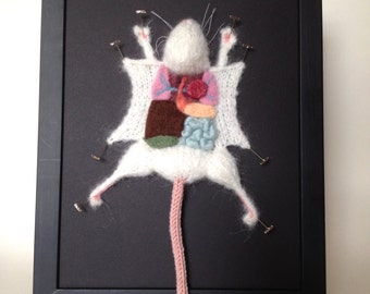 White Knitted Lab Rat: Framed with Black Background