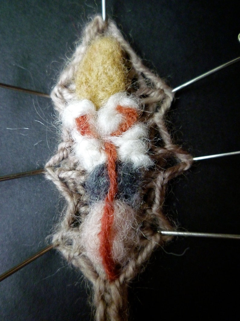 Knitted Earthworm Dissection image 4