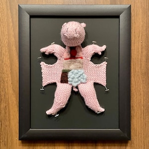 Knitted Fetal Pig: Framed with Black Background image 2