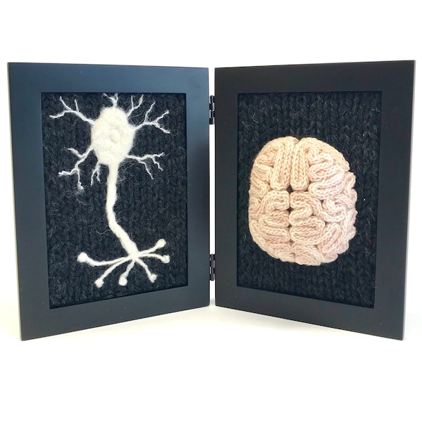 Neurological Study in Wool - Dark Grey Background