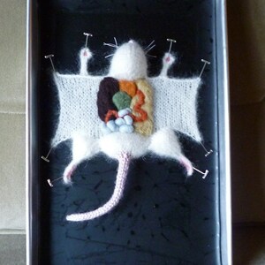 Knitted Lab Rat pattern PDF image 2