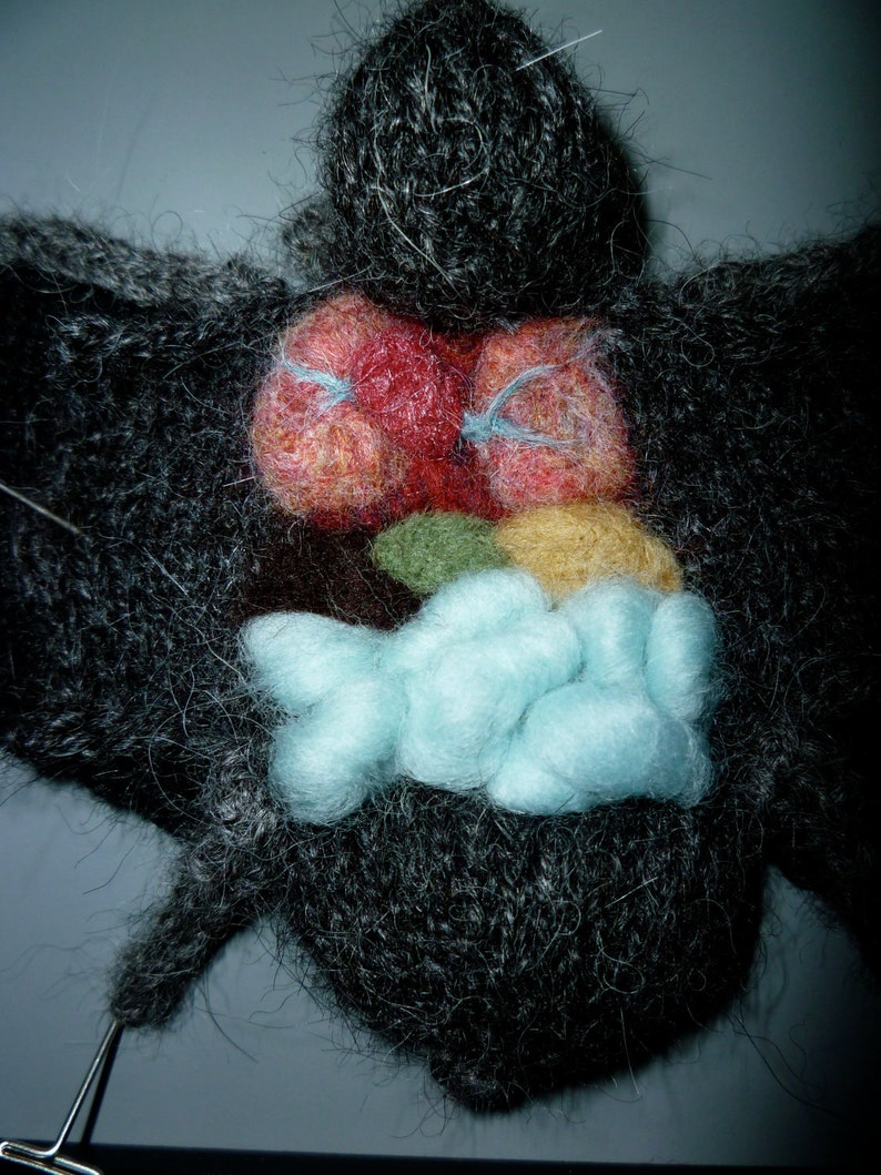 Knitted Dissected Bat Specimen image 3